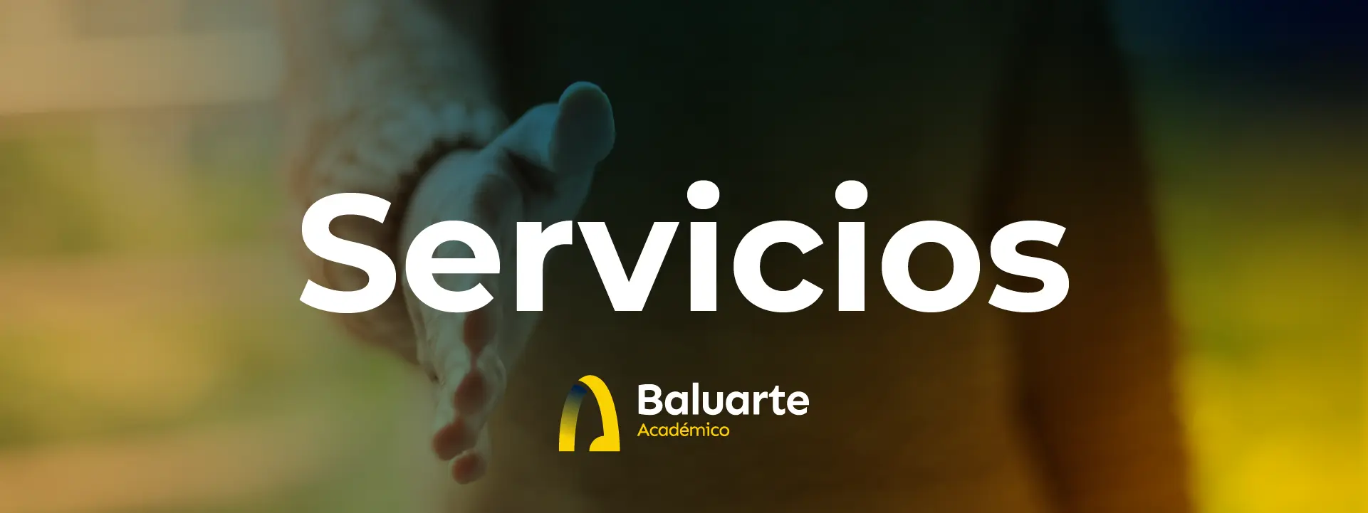 Banner Servicios